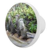 Bouton De Porte En Céramique Trois Loutres Affamées, (Droite)