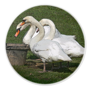 BOUTON DE PORTE EN CÉRAMIQUE TROIS SWANS/PHOTOG.WITH EFFETS NUMÉRIQUES