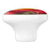 Bouton De Porte En Céramique Tuliforme rouge (Côté)