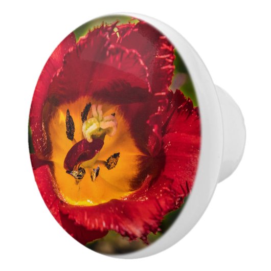Bouton De Porte En Céramique Tuliforme rouge (Droite)
