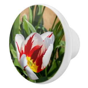 Bouton De Porte En Céramique Tulip de printemps