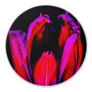 Bouton De Porte En Céramique Tulipe de Neon Glow