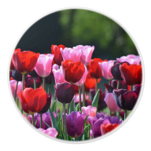 Bouton De Porte En Céramique Tulipes colorées Dresser Knob