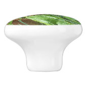 Bouton De Porte En Céramique Un papillon monarque (Côté)