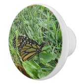 Bouton De Porte En Céramique Un papillon monarque (Droite)