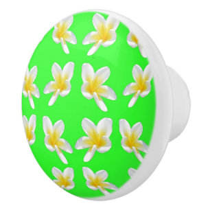Bouton De Porte En Céramique Un régal Frangipani Vert, Céramique Draw Knob.