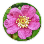 Bouton De Porte En Céramique Un Rose sauvage (Devant)