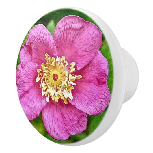 Bouton De Porte En Céramique Un Rose sauvage (Droite)
