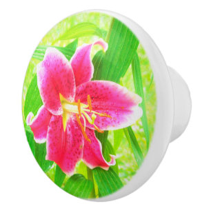 Bouton De Porte En Céramique Un stargazer rose assez profond Lily sur Lime Gree
