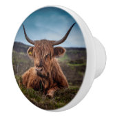 Bouton De Porte En Céramique Vache de Highland (Droite)