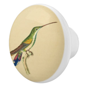 Bouton De Porte En Céramique Vintage 1830 Hummingbird Drawer Knob