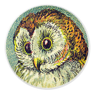 Bouton De Porte En Céramique Vintage chouette de la grange étoile illustration 