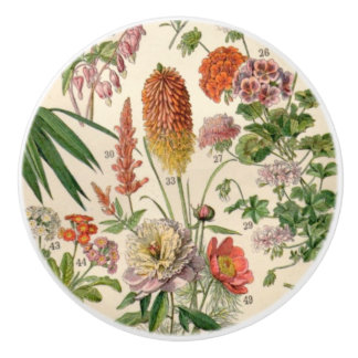 Bouton De Porte En Céramique Vintages Jolies Fleurs Botaniques