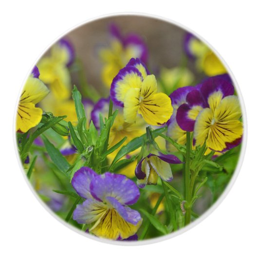 Bouton De Porte En Céramique Viola Ceramic Knob (Devant)