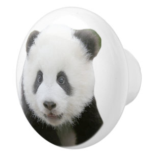 Bouton De Porte En Céramique Visage de panda