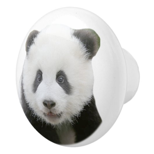 Bouton De Porte En Céramique Visage de panda (Droite)
