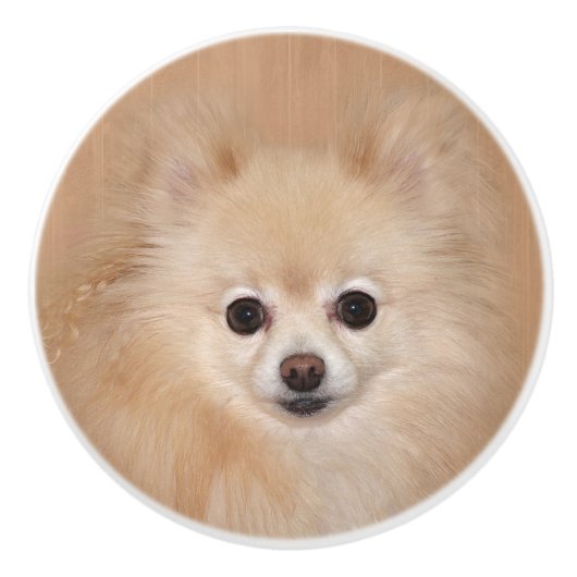 Bouton De Porte En Céramique visage de Poméranie (Devant)