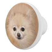 Bouton De Porte En Céramique visage de Poméranie (Droite)