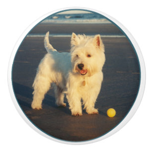 Bouton De Porte En Céramique Westie