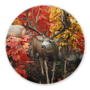 Bouton De Porte En Céramique Whitetail En Automne