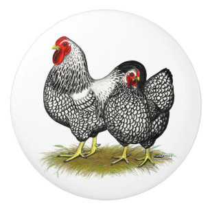 Bouton De Porte En Céramique Wyandotte :  Paires argentées