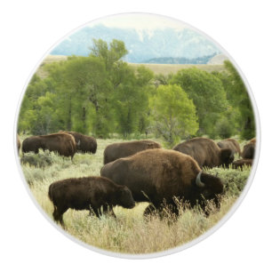 Bouton De Porte En Céramique Wyoming Bison Nature Animal Photographie