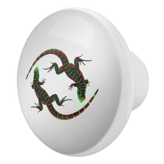 Bouton De Porte En Céramique Yin Yang Lizards Argent (Droite)