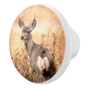 Bouton De Porte En Céramique Young Deer en Fleur sauvage avec Grungy Texture Ar