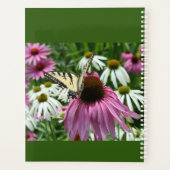 Bouton de Tiger Swallowtail Plan quotidien (Dos)