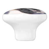 Bouton de tiroir de chiot de boxeur (Côté)