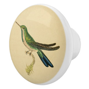 Bouton de tiroir de colibri vintage 1830