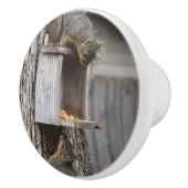 Bouton de traction en céramique écureuil (Droite)