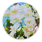 Bouton d'orchidée (Devant)