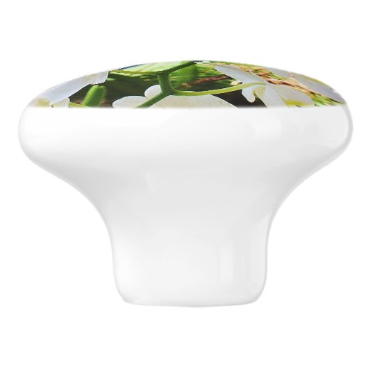 Bouton d'orchidée (Côté)