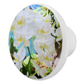 Bouton d'orchidée (Droite)