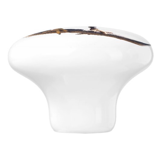 Bouton du faucon de Harris (Côté)