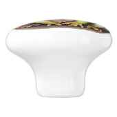 Bouton du tiroir de la grenouille (Côté)