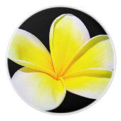 Bouton du tiroir de Plumeria (Devant)