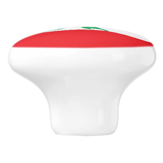 Bouton en céramique avec drapeau du Liban (Côté)