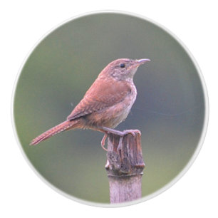 Bouton en céramique Birdie