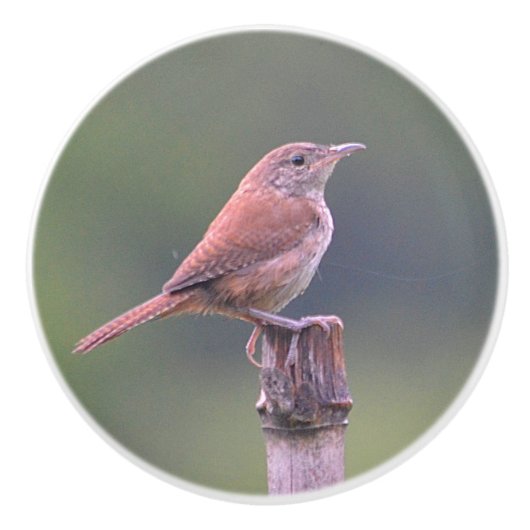 Bouton en céramique Birdie (Devant)