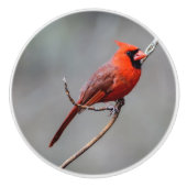 Bouton en céramique cardinal (Devant)