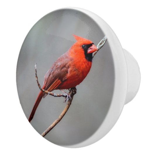 Bouton en céramique cardinal (Droite)