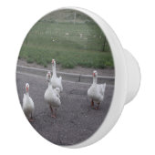 Bouton en céramique de canard (Droite)