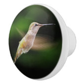 Bouton en céramique de colibri (Droite)