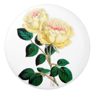 Bouton en céramique de fleur de rose jaune