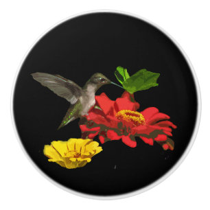 Bouton en céramique de fleurs de colibri et de