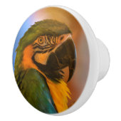 Bouton en céramique de perroquet (Droite)