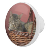 Bouton en céramique de Sleeping Kitty (Droite)