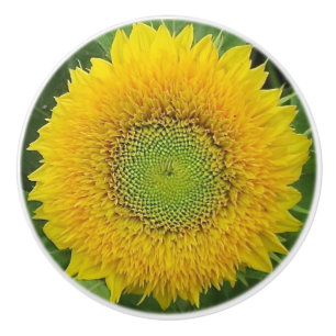 Bouton en céramique de tournesol jaune